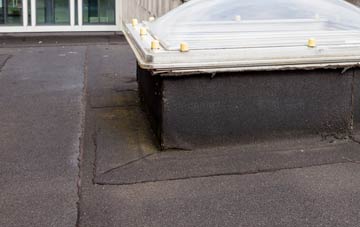 disadvantages of Snape flat roofs