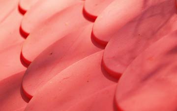 Snape plastic roof costs