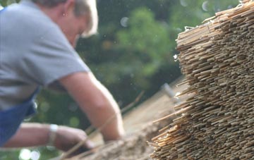 professional Snape thatchers