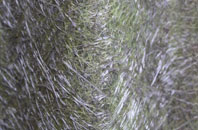 Snape fibreglass roof work